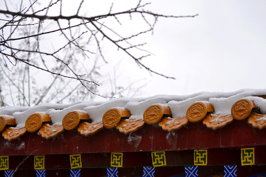 雪景