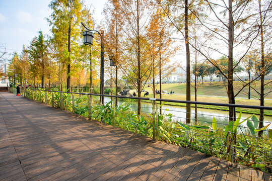 广西蒙山湿地公园冬季风景