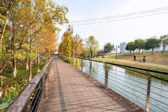 广西蒙山湿地公园冬季风景