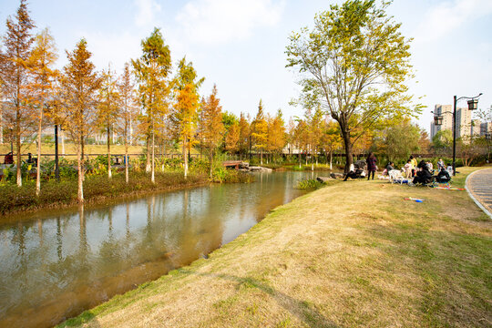 广西蒙山湿地公园冬季风景