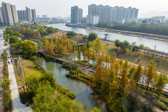 广西蒙山县湿地公园冬季风景