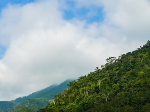 云南哀牢山