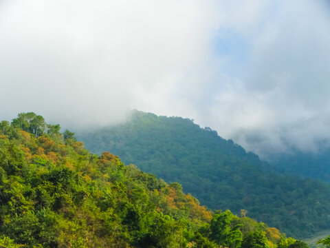 云南哀牢山