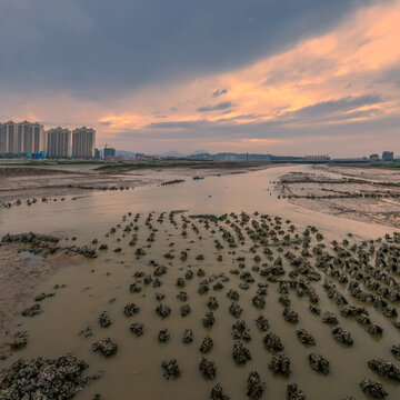 泉州洛阳江湿地晚霞