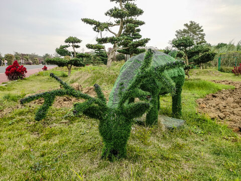 北部湾花卉小镇梅花鹿