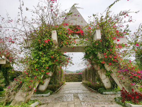 北部湾花卉小镇特色建筑