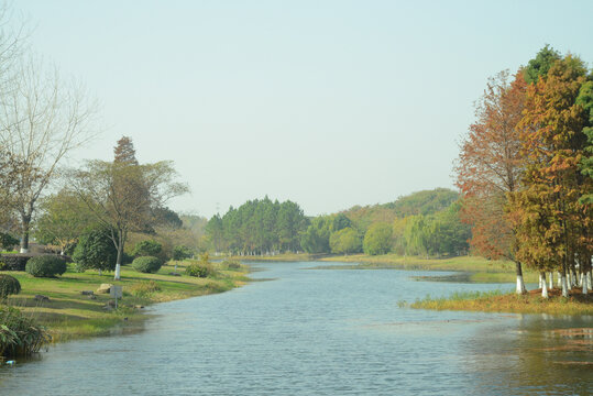 湿地