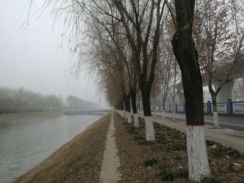 冬日河畔晨雾弥漫