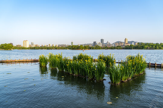 济南大明湖城市景观