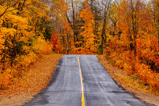 秋天森林与公路