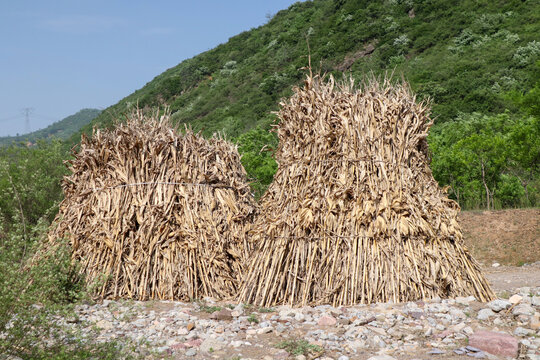 山村秸秆堆