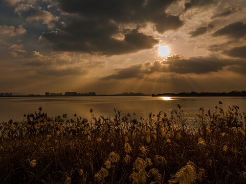 航拍芜湖市龙窝湖湿地公园