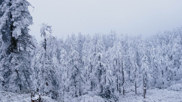 瓦屋山初雪