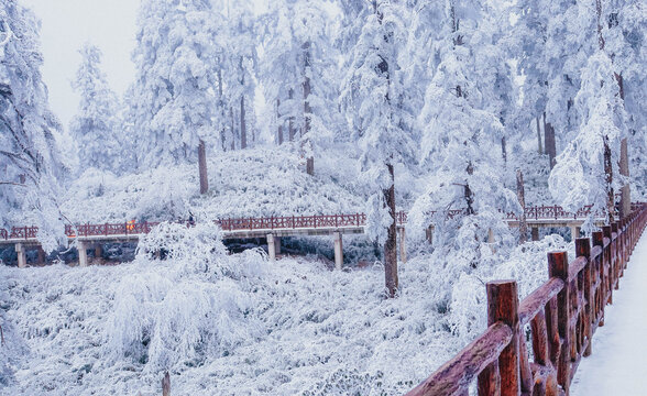 瓦屋山初雪