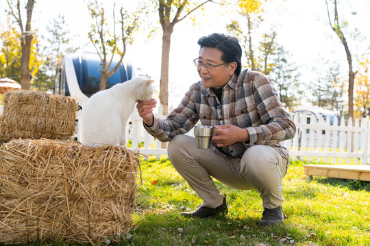 一个老年男人蹲着和猫玩耍