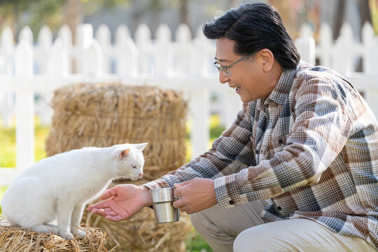 一个老年男人蹲着和猫玩耍