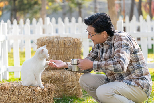 一个老年男人蹲着和猫玩耍