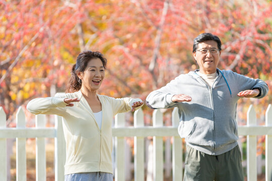 老年夫妇在公园里运动健身