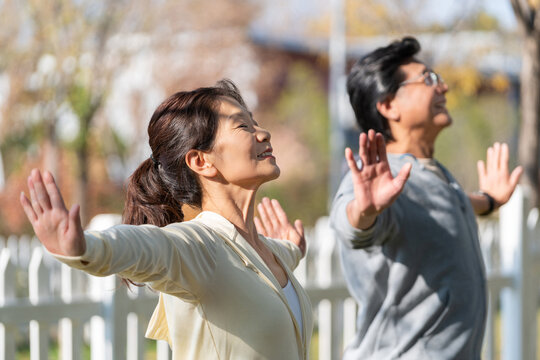 老年夫妇在公园里运动健身