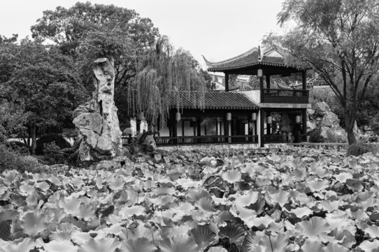 木渎虹饮山房