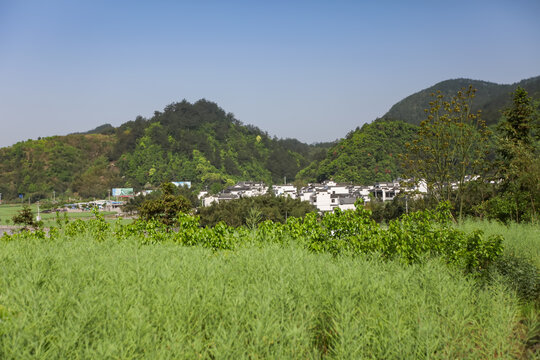 绩溪龙川村