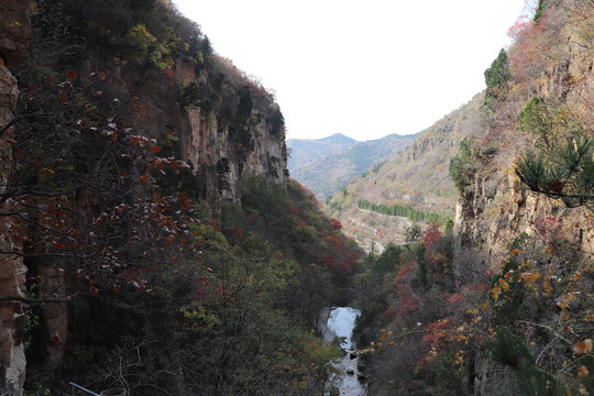 山谷小溪