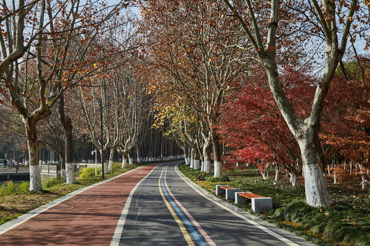 安徽省芜湖市雕塑公园路