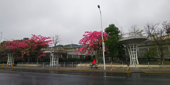 雨天里的沙湾