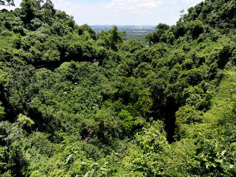 火山口群