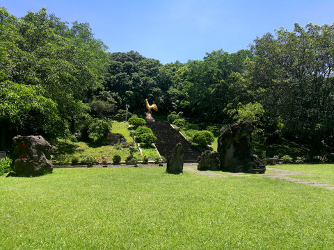 蓝天森林草地火山石