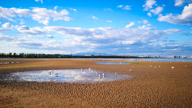 北戴河鸽子窝公园