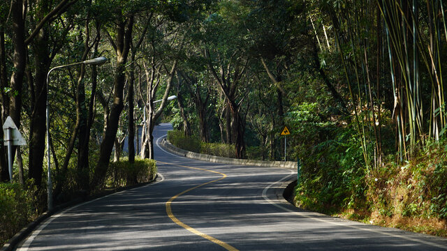 森林公路