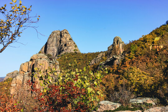 高山山峰秋季森林