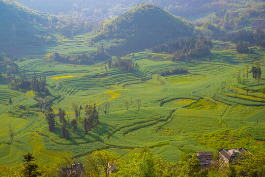 田园风景