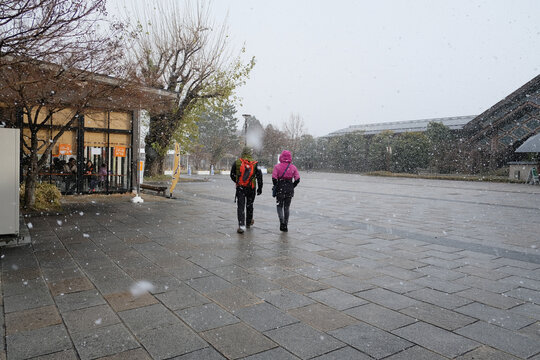 大雪步行