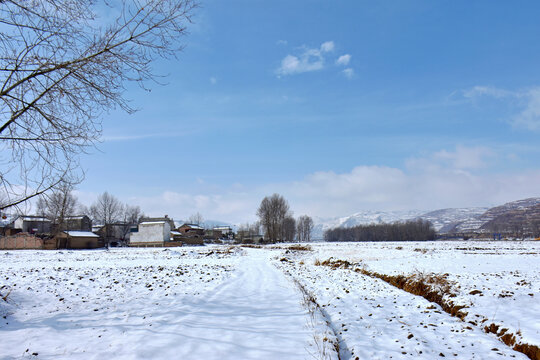 乡村雪霁