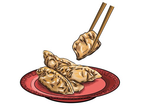 中华饺子手绘美食插画