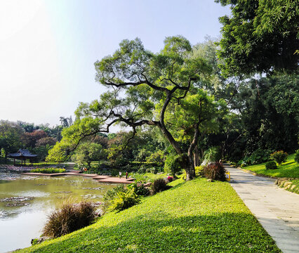 植物园