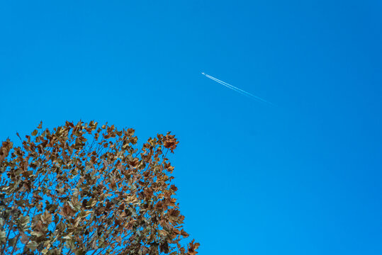 蓝天上的白色飞机
