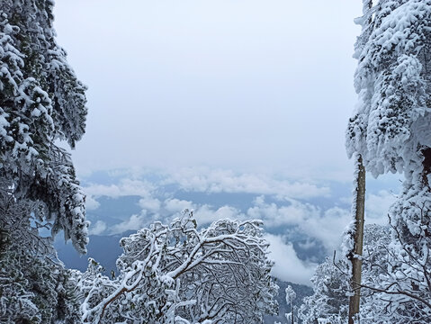 雪景树林积雪雪山雾凇