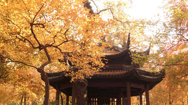 天平山秋景