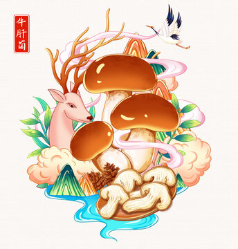 牛肝菌插画手绘