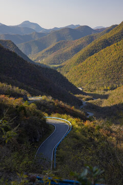 山道弯弯