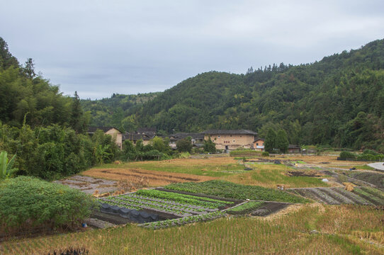 河坑田野冬季风情