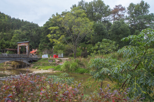 河坑乡村草木风景