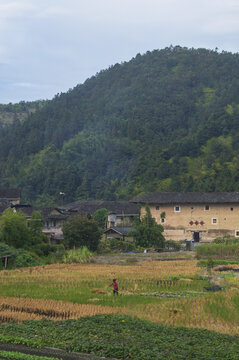 乡野之景