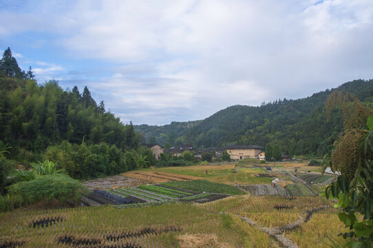 山村田野冬季景色