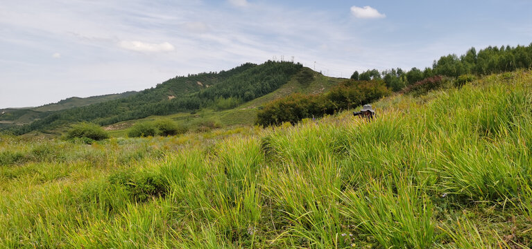 山坡