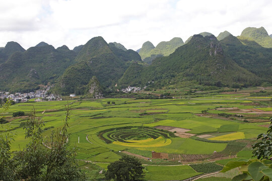 万峰林八卦田