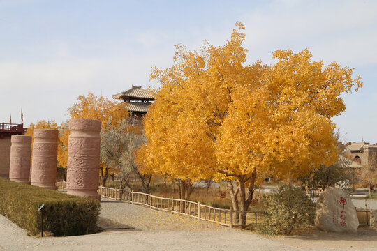 阳关景区